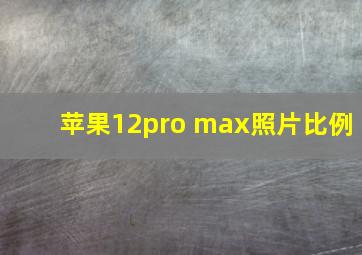 苹果12pro max照片比例